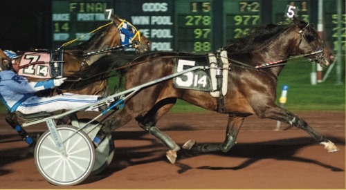 Waldorf Hall race photo from wed